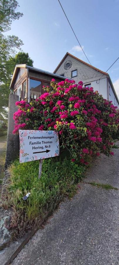Ferienwohnungen Hering Kleingiesshubel المظهر الخارجي الصورة